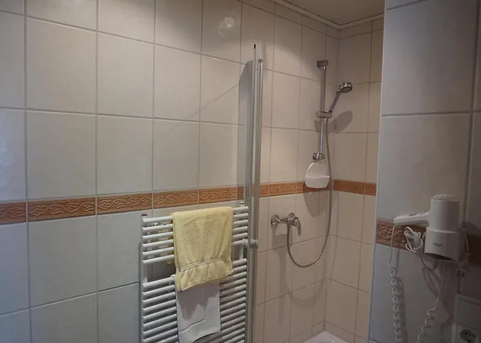 Landgasthof “zur Alten Muehle“ Bed & Breakfast